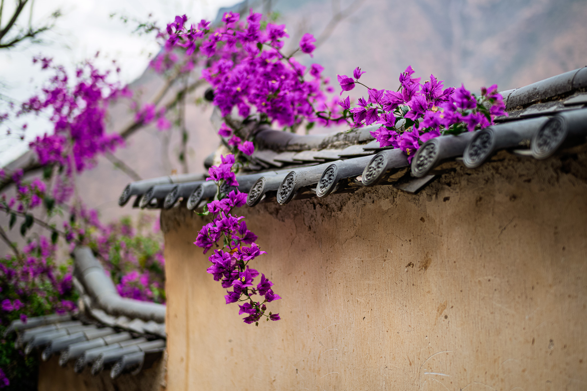 484711