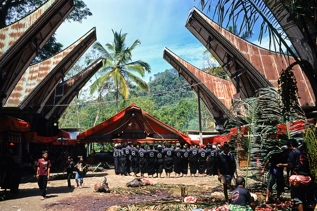 Sulawesi 11