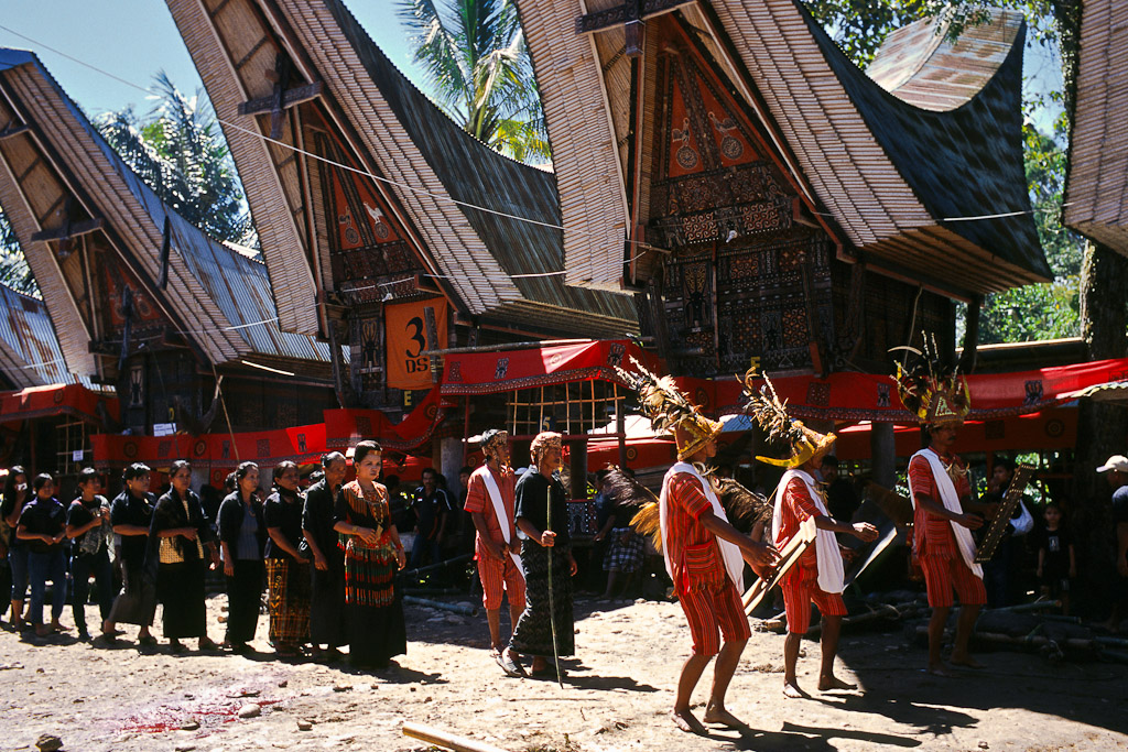 Sulawesi 13