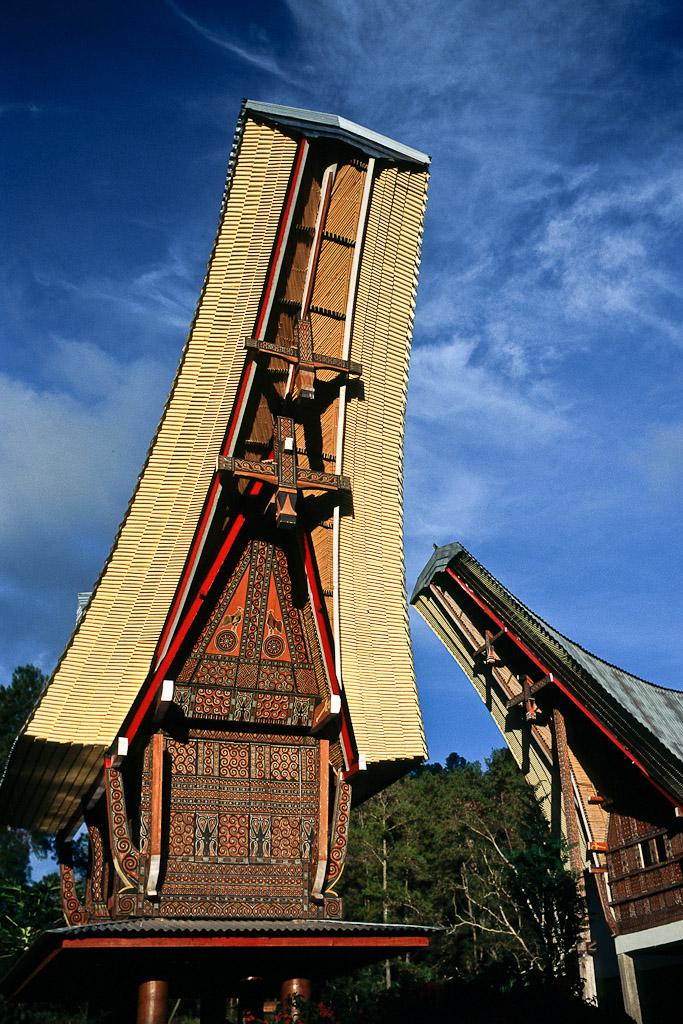 Sulawesi 22