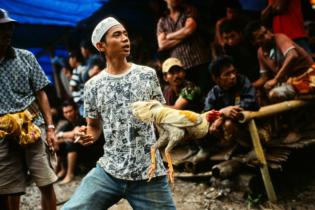 Sulawesi 31