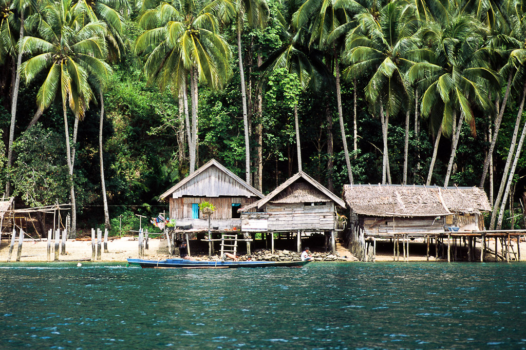 Sulawesi 32