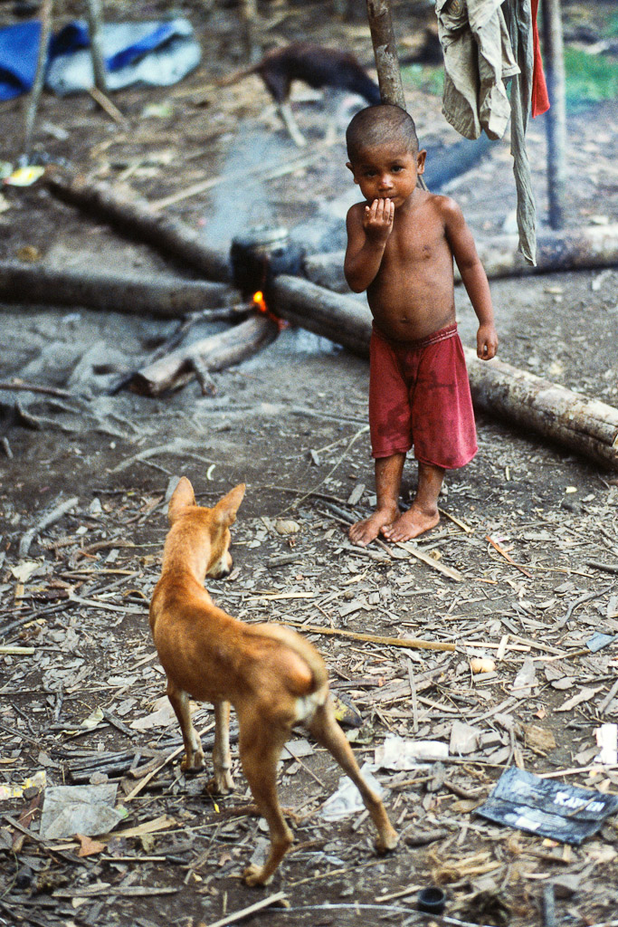 Sulawesi 39
