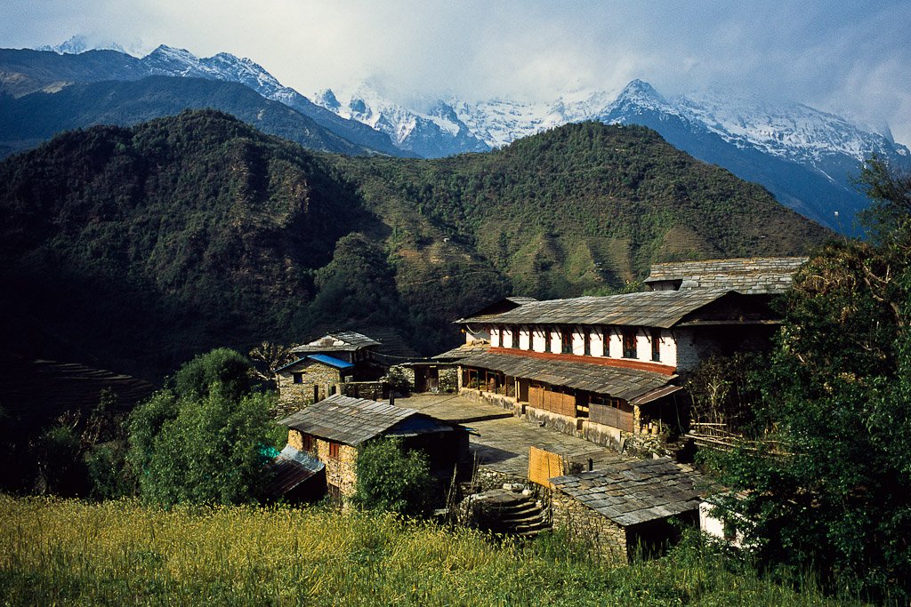 Village de Gandrung
