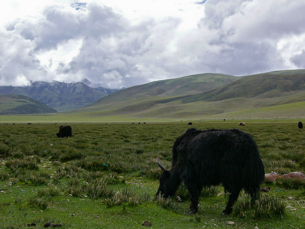 Près de Gyantse