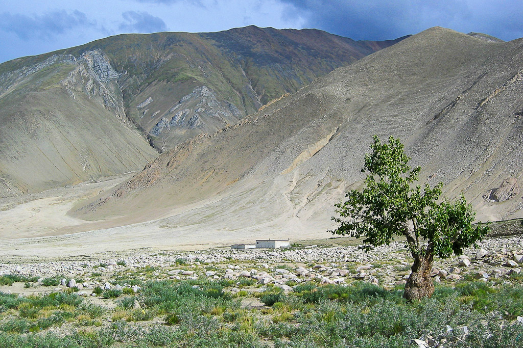 Près de Shegar