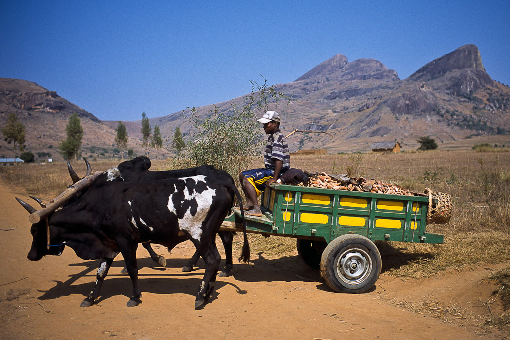 Village de Vohitsaoka