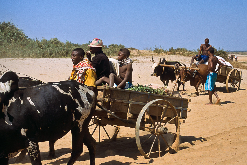 Belo sur Tsiribihina