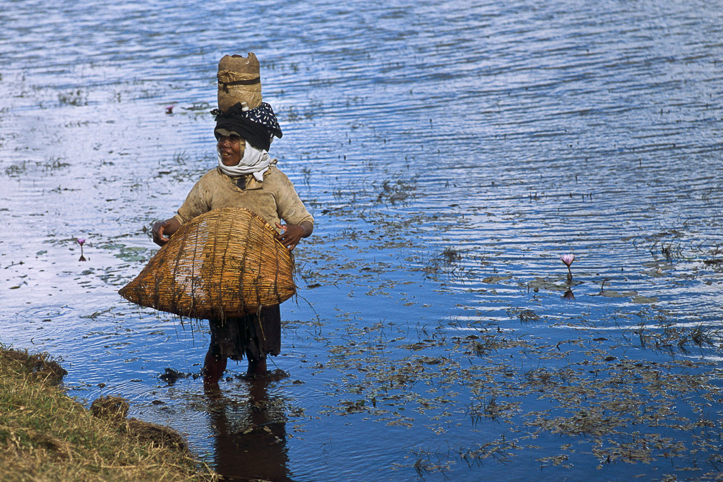 Sur la route d'Antsirabe