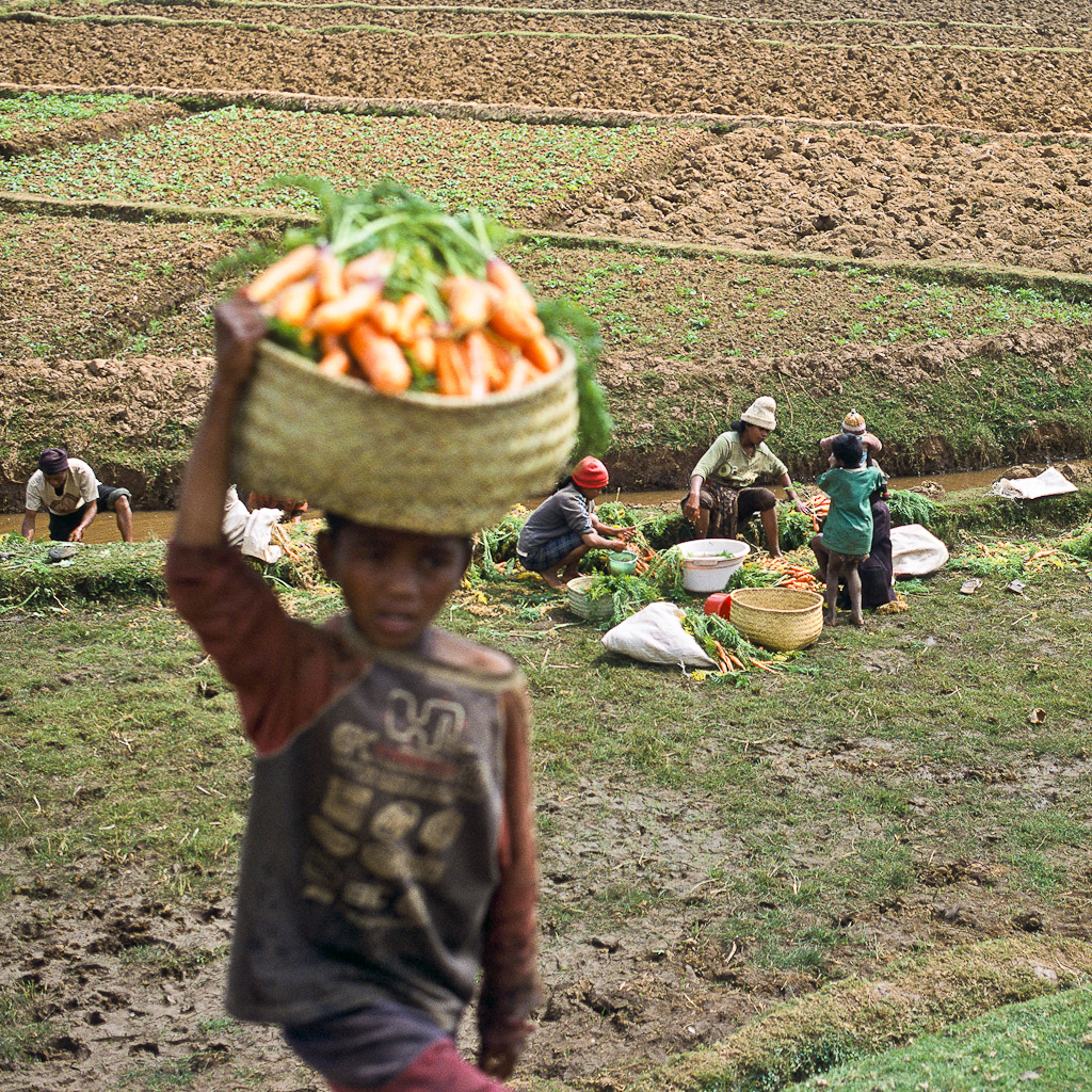 Sur la route d'Antananarivo