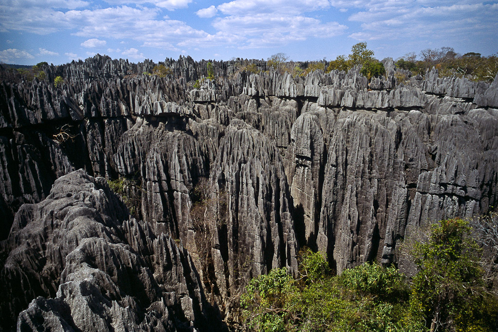 Tsingys de Bemaraha