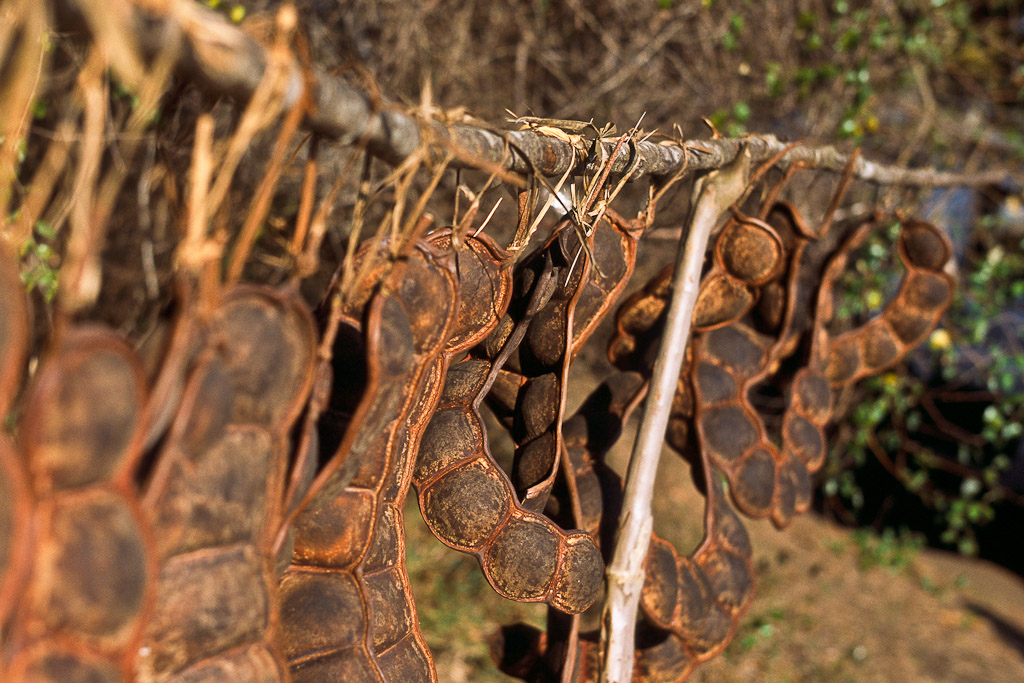 Sur la route de Bekopaka