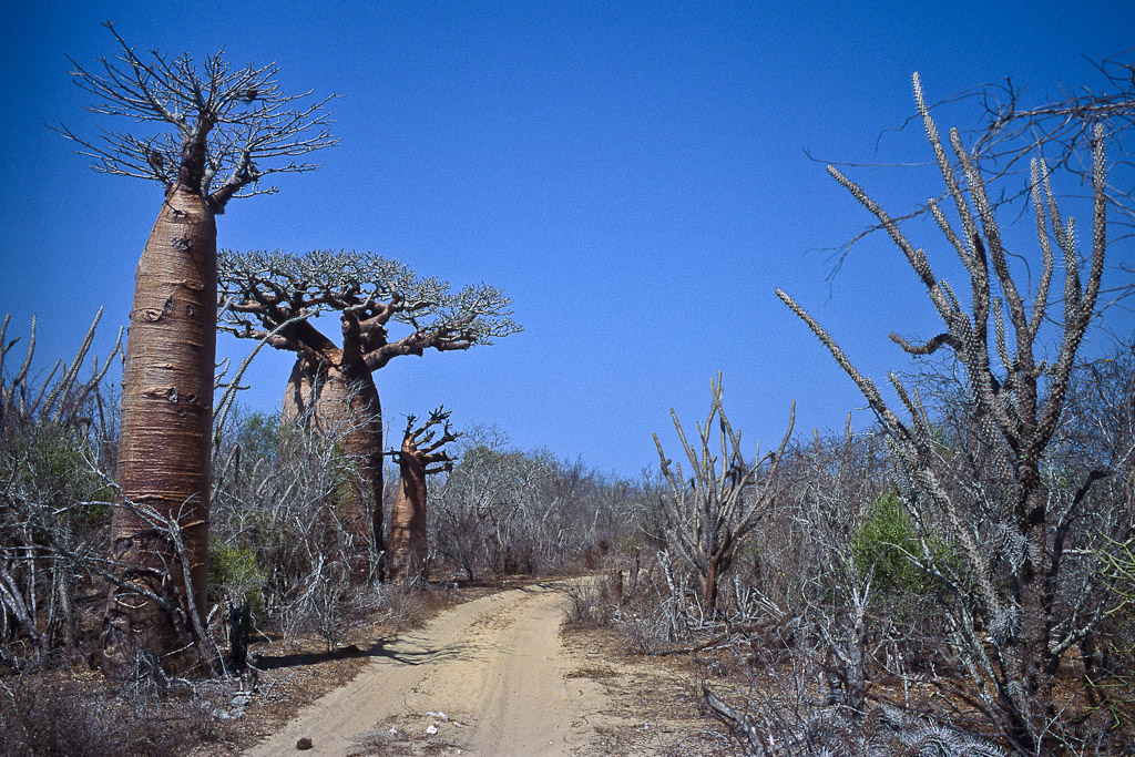 Sur la route de Salary